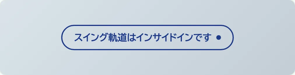 42 ネイビードット付きピル の見本